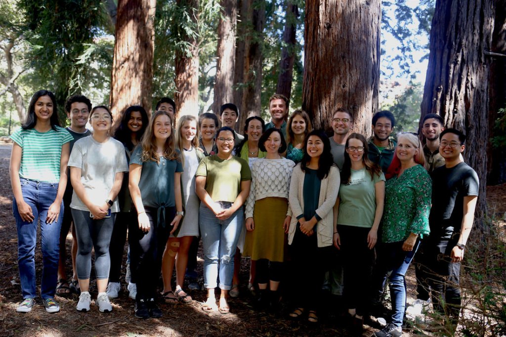 2019 group photo of the Whiteman Lab in the UC Berkeley Eucalyptus grove.